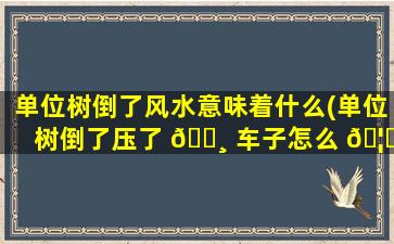 单位树倒了风水意味着什么(单位树倒了压了 🌸 车子怎么 🦆 赔)